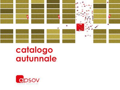 apsovsementi news Catalogo Autunnale 2025