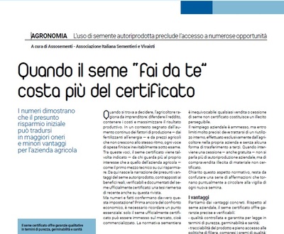 apsovsementi news L'importanza del seme certificato
