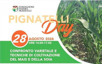 apsovsementi news 28 agosto Pignatelly day