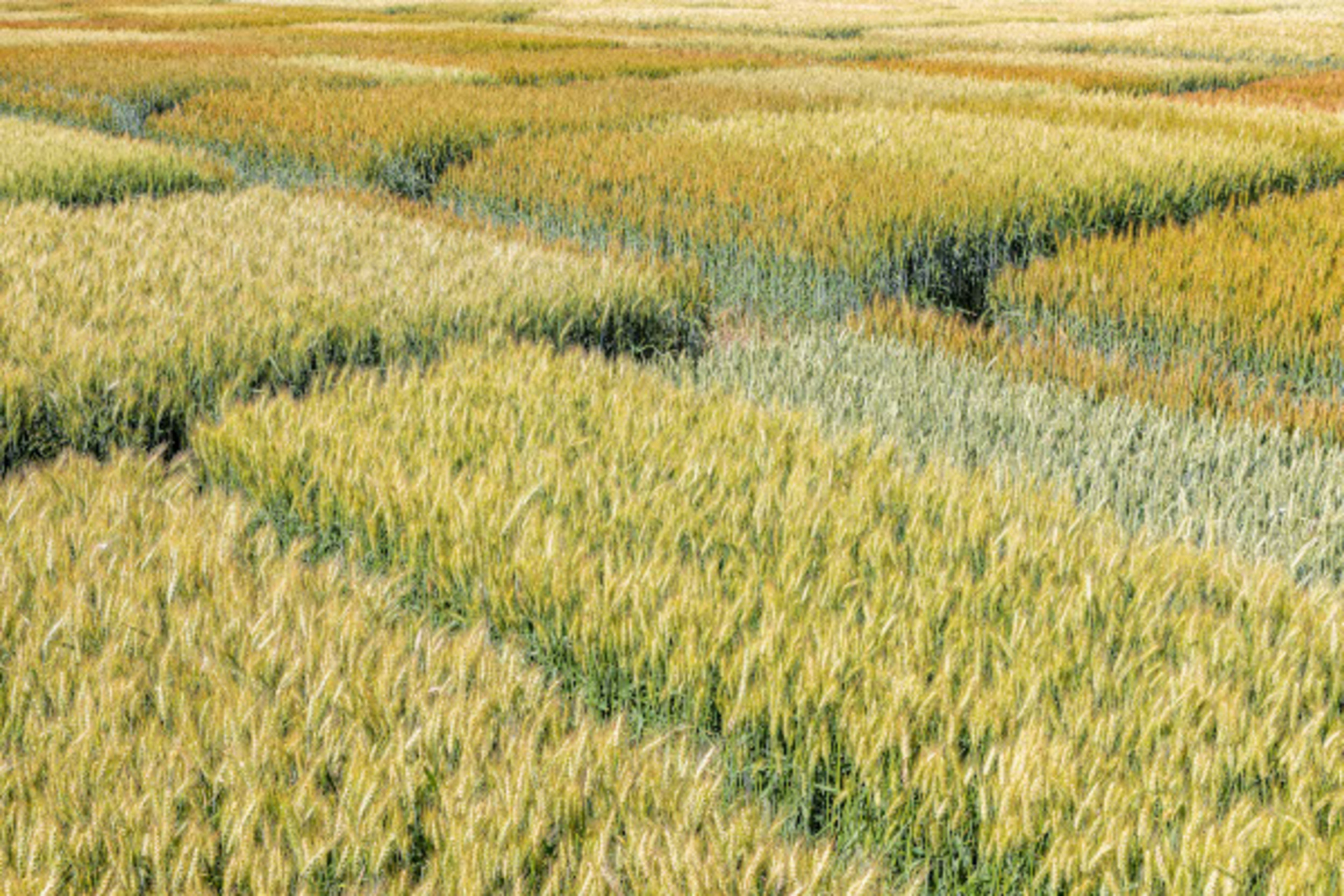Scopri il catalogo autunnale 2025