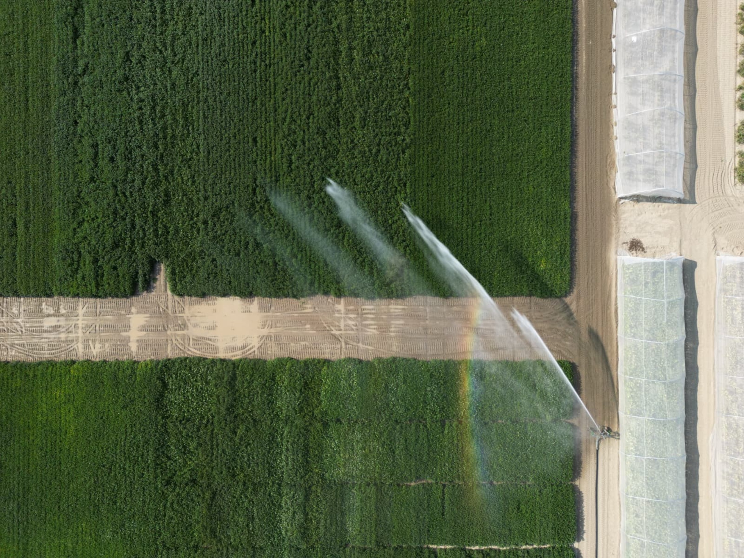 Catalogo primaverile 2026